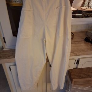 Everlane Cream  Ankle Pants 10